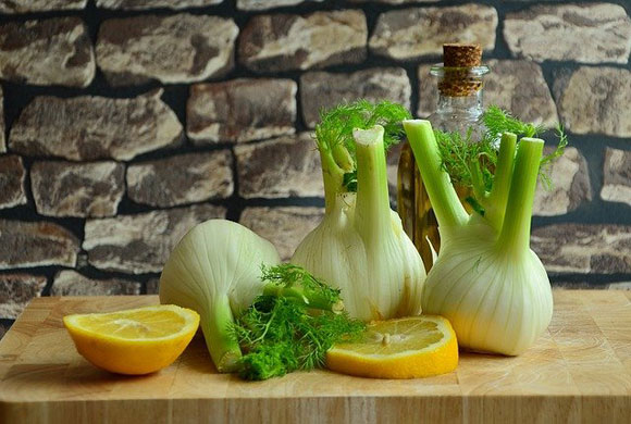 Fenchel Bitterstoffe